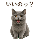 852705431