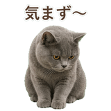 852705432