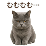 852705434