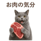 852705437