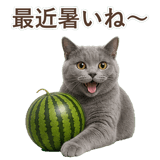852705438