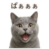 852705442