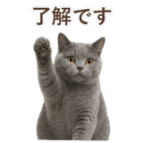 852705443