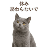 852705449