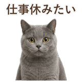 852705450
