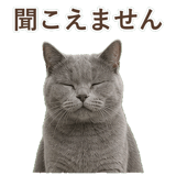 852705451