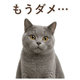 852705452