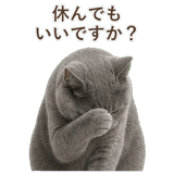 852705453