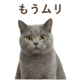 852705454