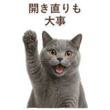 852705456