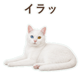 852705498