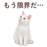 852705501