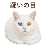 852705507