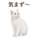 852705512
