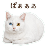 852705522