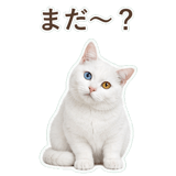 852705524