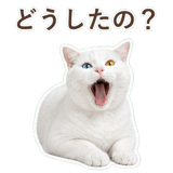 852705526