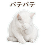 852705527