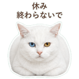 852705529