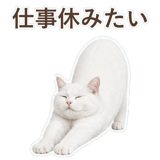 852705530
