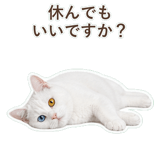 852705533