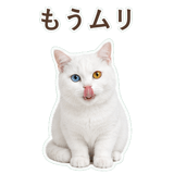 852705534