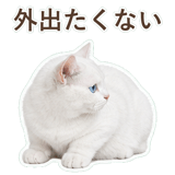 852705535