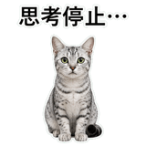 852705594