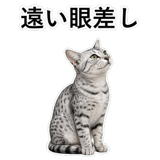 852705596