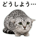 852705599