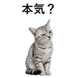 852705601