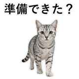 852705604
