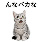852705611