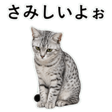 852705613
