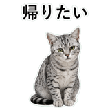 852705617