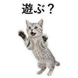 852705625