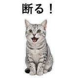 852705631