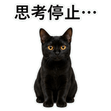 852705674