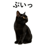 852705680