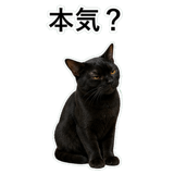 852705681