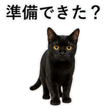 852705684