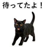 852705696