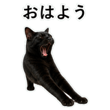 852705700