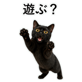 852705705