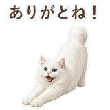 852705753