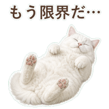 852705757