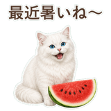 852705774
