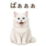 852705778