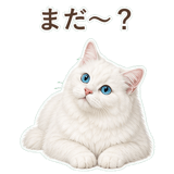 852705780