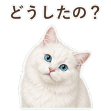 852705782